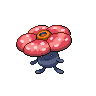 ラフレシア