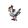 ハトーボー